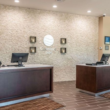 Comfort Inn Edwardsville - St Louis מראה חיצוני תמונה